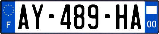 AY-489-HA
