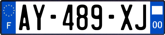 AY-489-XJ