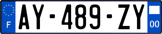 AY-489-ZY