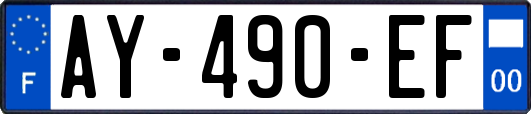 AY-490-EF