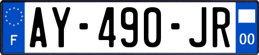 AY-490-JR