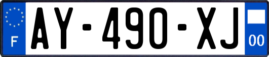AY-490-XJ