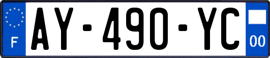 AY-490-YC