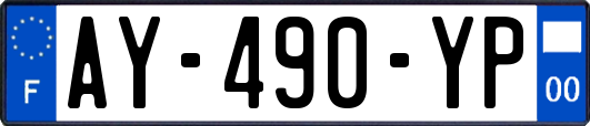 AY-490-YP