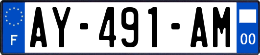 AY-491-AM