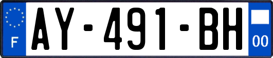 AY-491-BH