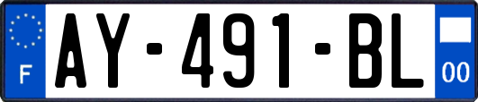 AY-491-BL