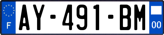 AY-491-BM