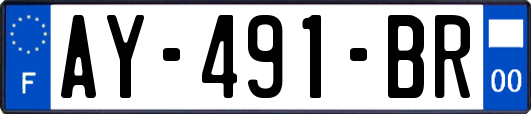 AY-491-BR