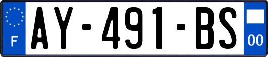 AY-491-BS