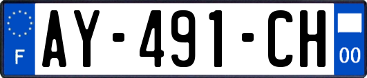 AY-491-CH
