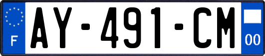 AY-491-CM
