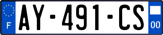 AY-491-CS