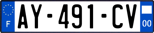 AY-491-CV