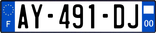 AY-491-DJ