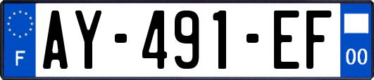 AY-491-EF