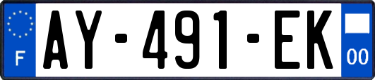 AY-491-EK