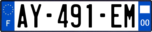 AY-491-EM