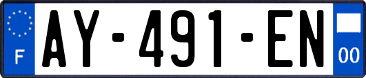 AY-491-EN