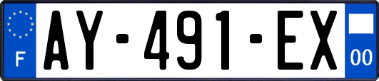 AY-491-EX