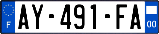 AY-491-FA