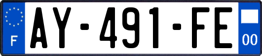 AY-491-FE