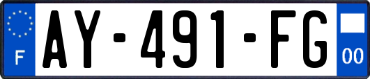 AY-491-FG