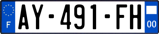 AY-491-FH