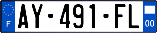 AY-491-FL