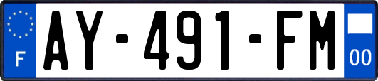 AY-491-FM