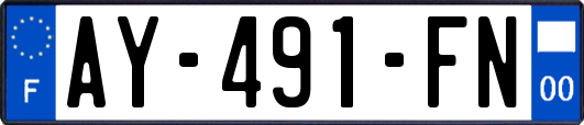 AY-491-FN