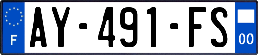 AY-491-FS