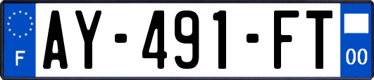 AY-491-FT
