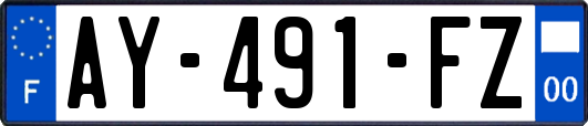 AY-491-FZ