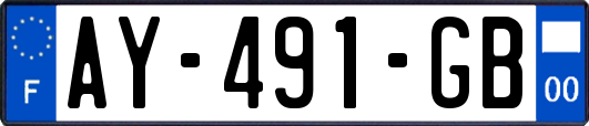 AY-491-GB