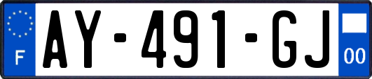 AY-491-GJ