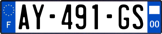 AY-491-GS