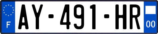 AY-491-HR