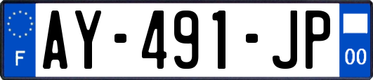AY-491-JP