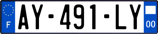 AY-491-LY