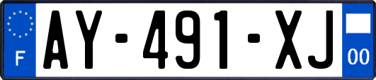 AY-491-XJ