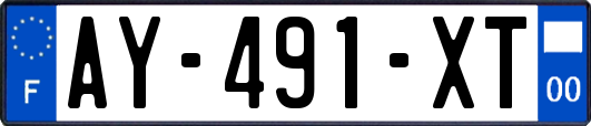 AY-491-XT