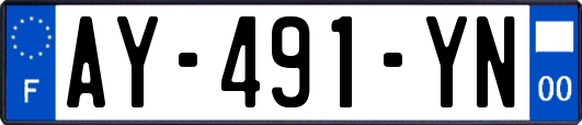 AY-491-YN