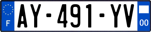 AY-491-YV
