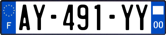 AY-491-YY