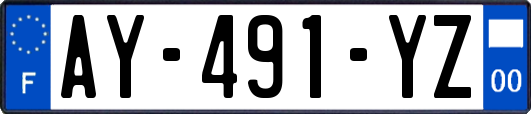 AY-491-YZ