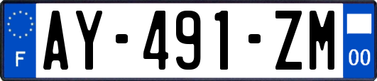 AY-491-ZM