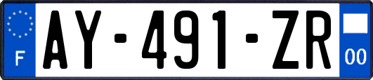 AY-491-ZR