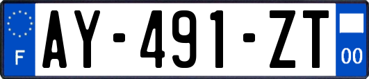 AY-491-ZT