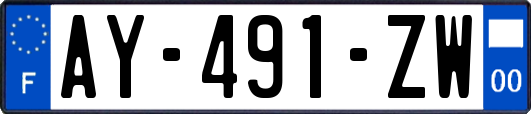 AY-491-ZW